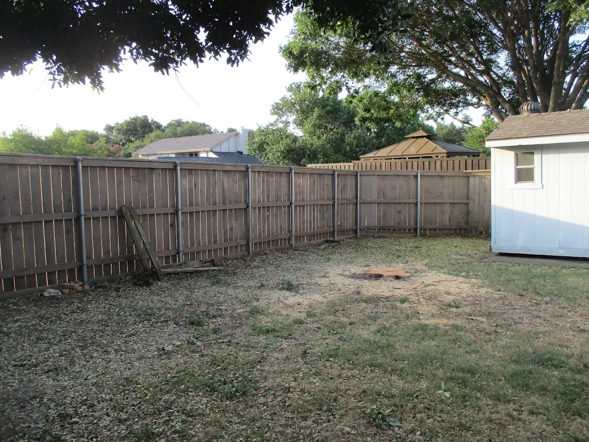 Cleared yard after professional tree removal in Dunnell