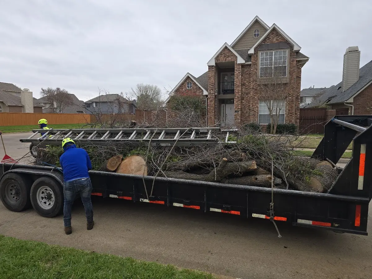 Expert Tree Fertilization with proper safety equipment in Dunnell
